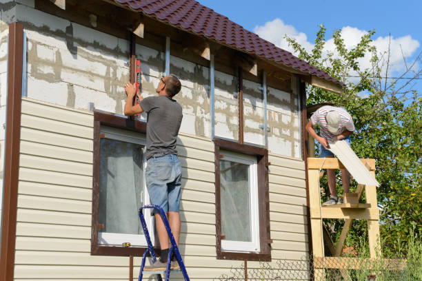 Best Custom Siding Design  in Kenai, AK